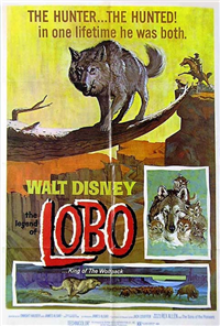 THE LEGEND OF LOBO   Original American One Sheet   (Buena Vista (Disney), 1962)