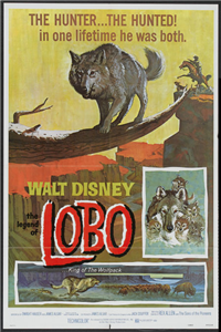 THE LEGEND OF LOBO   Re-Release American One Sheet   (Walt Disney, 1972)