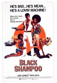 BLACK SHAMPOO   Original American One Sheet   (Dimension, 1976)