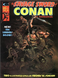 THE SAVAGE SWORD OF CONAN  #6     (Marvel)