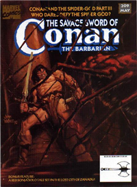 THE SAVAGE SWORD OF CONAN  #209     (Marvel)