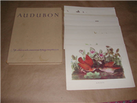 Audubon, Fifty Selections with Commentaries by Roger Tory Peterson (Macmillan Company, 196?)