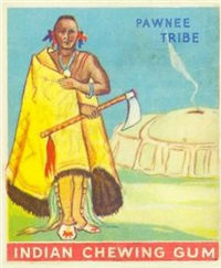 (R73)   1933  Goudey Indian Chewing Gum Card #13    Chief of the Pawnee Tribe