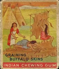 (R73)   1933  Goudey Indian Chewing Gum Card #98    Graining the Buffalo Skin