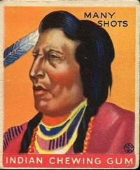 (R73)   1933  Goudey Indian Chewing Gum Card #108    Many Shots