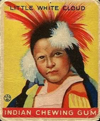 (R73)   1933  Goudey Indian Chewing Gum Card #109    Little White Cloud