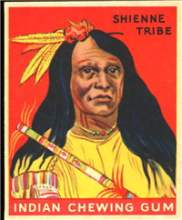 (R73)   1933  Goudey Indian Chewing Gum Card #110    Chief of the Shienne Tribe