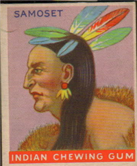 (R73)   1933  Goudey Indian Chewing Gum Card #139    Samoset