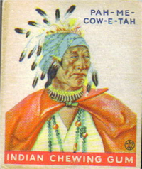 (R73)   1933  Goudey Indian Chewing Gum Card #168    Paw-me-cow-e-tah