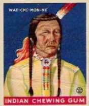 (R73)   1933  Goudey Indian Chewing Gum Card #202    Wat-Che-Mon-Ne