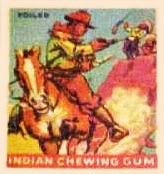 (R73)   1933  Goudey Indian Chewing Gum Card #214    Foiled