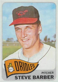 1965 Topps Baseball  Card #113  Steve Barber