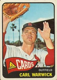 1965 Topps Baseball  Card #357  Carl Warwick