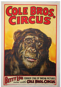 Circus Poster:  Cole Bros. Circus Betty Lou Now With (1941) Original American One Sheet 