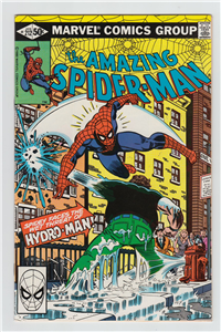 AMAZING SPIDER-MAN  #212     (Marvel, 1981)
