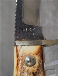 1965-1980 CASE XX USA M5F SSP Stag Fixed Blade Knife