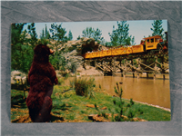 Vintage DISNEYLAND Frontierland Bear & Mine Train Postcard (Disney, C-18, 1950s) 