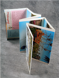 Vintage DISNEYLAND Fantasyland Tinkerbell Fold Out Set of 12 Postcards (Disney, 1950s) 