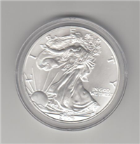 USA 2006  American Eagle Silver Dollar