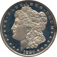 1880 Morgan Silver Dollar 
