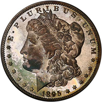 1895 Morgan Silver Dollar 