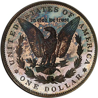 1895 Morgan Silver Dollar 