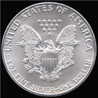 USA  2002  Silver American Eagle Dollar   (US Mint, 2002)