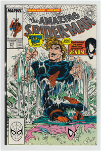 AMAZING SPIDER-MAN  #315     (Marvel, 1989)